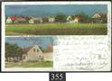 Lot number 355